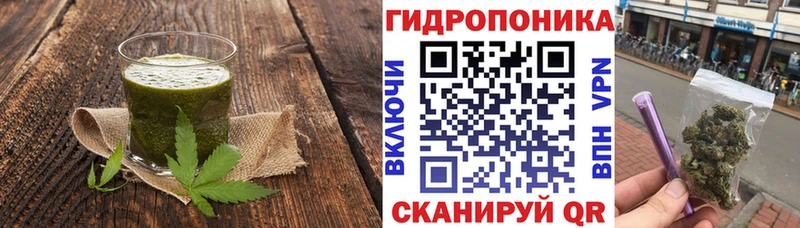Купить где  Талица  Cannafood конопля 