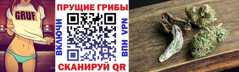 Галлюциногенные грибы GOLDEN TEACHER  Купить закладки  Талица 