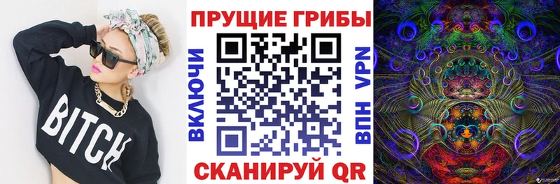 Псилоцибиновые грибы Cubensis Талица